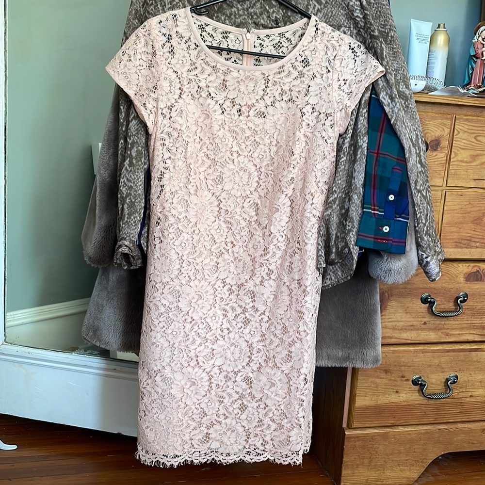 Loft lace pink dress